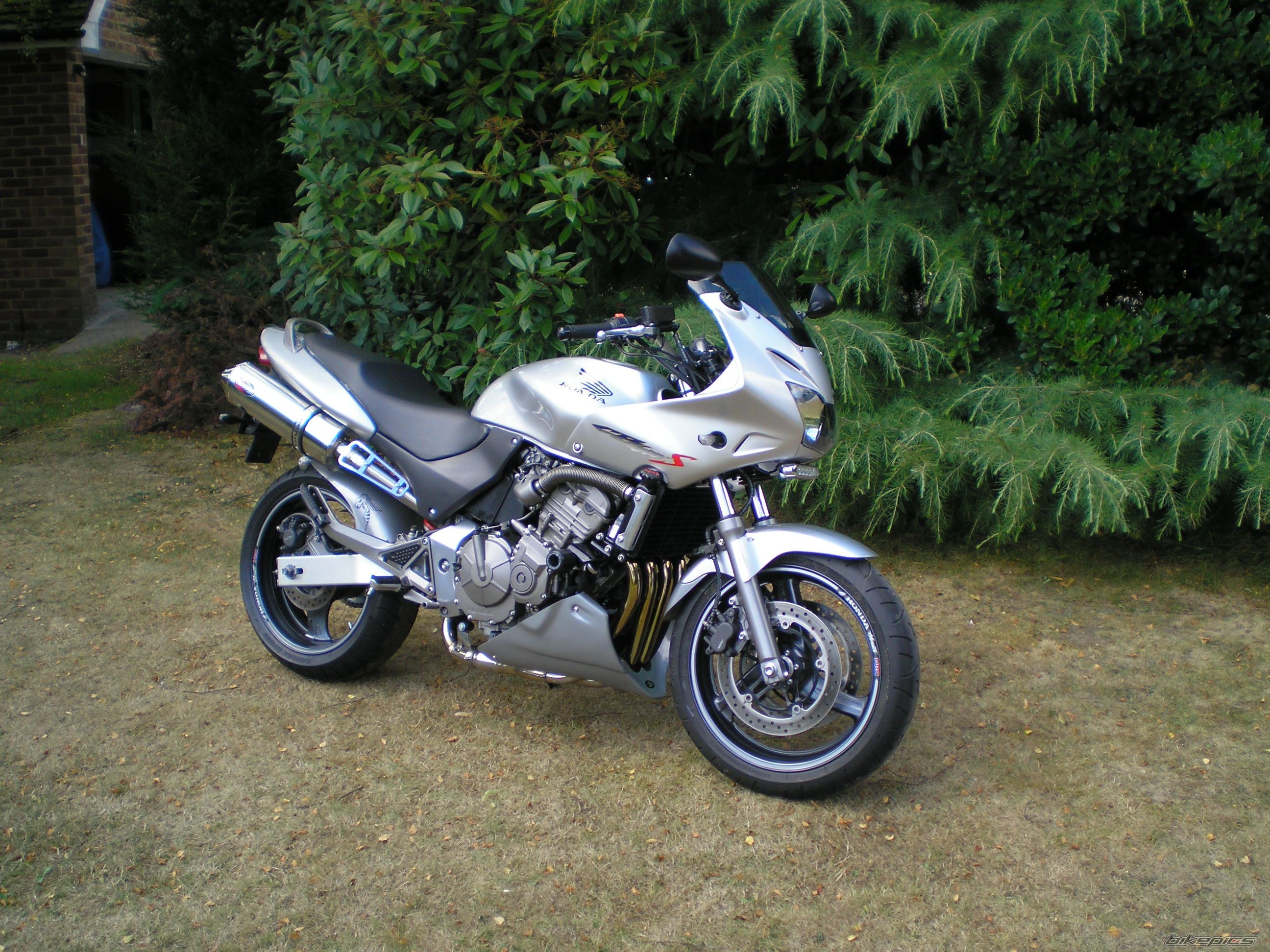 Photo 2046354