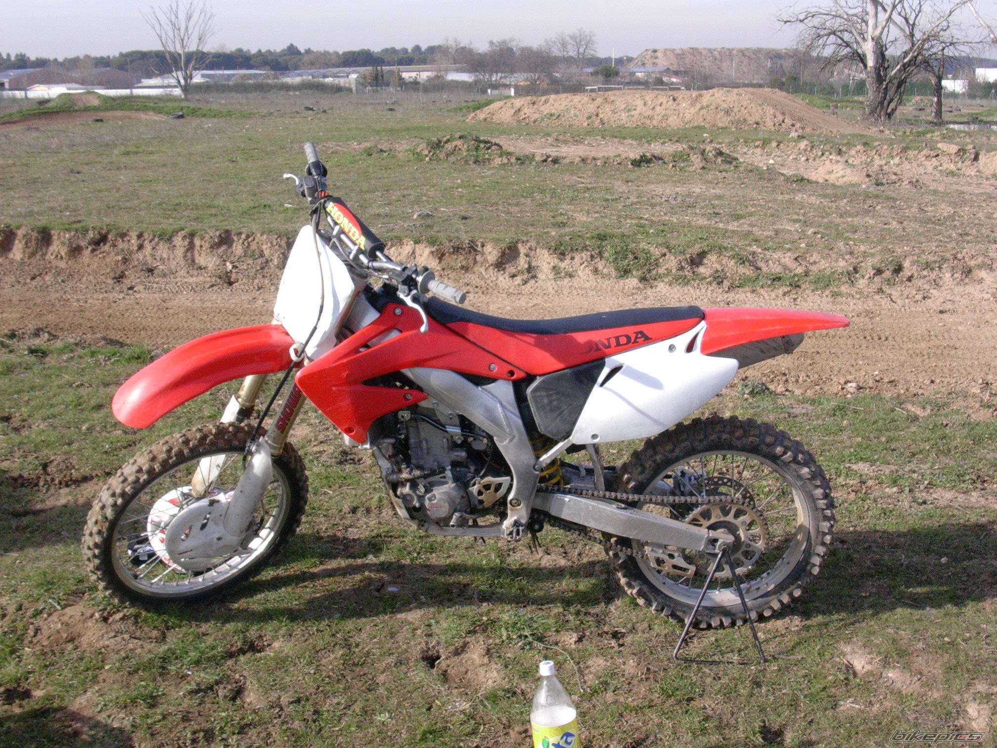 Photo 204650
