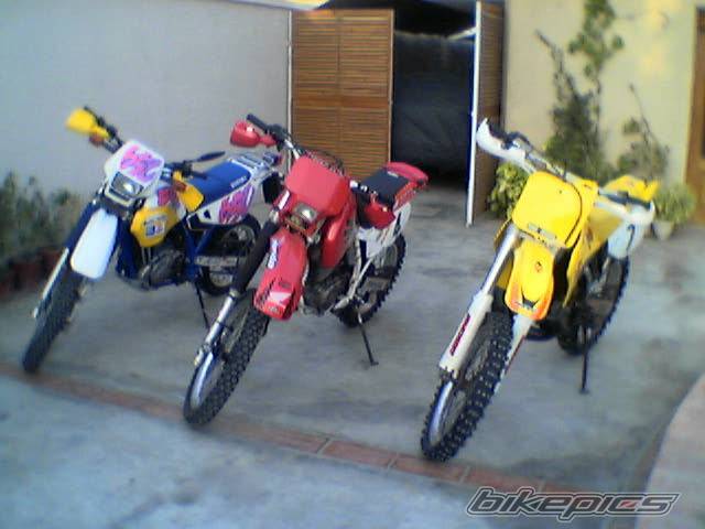 Photo 204667