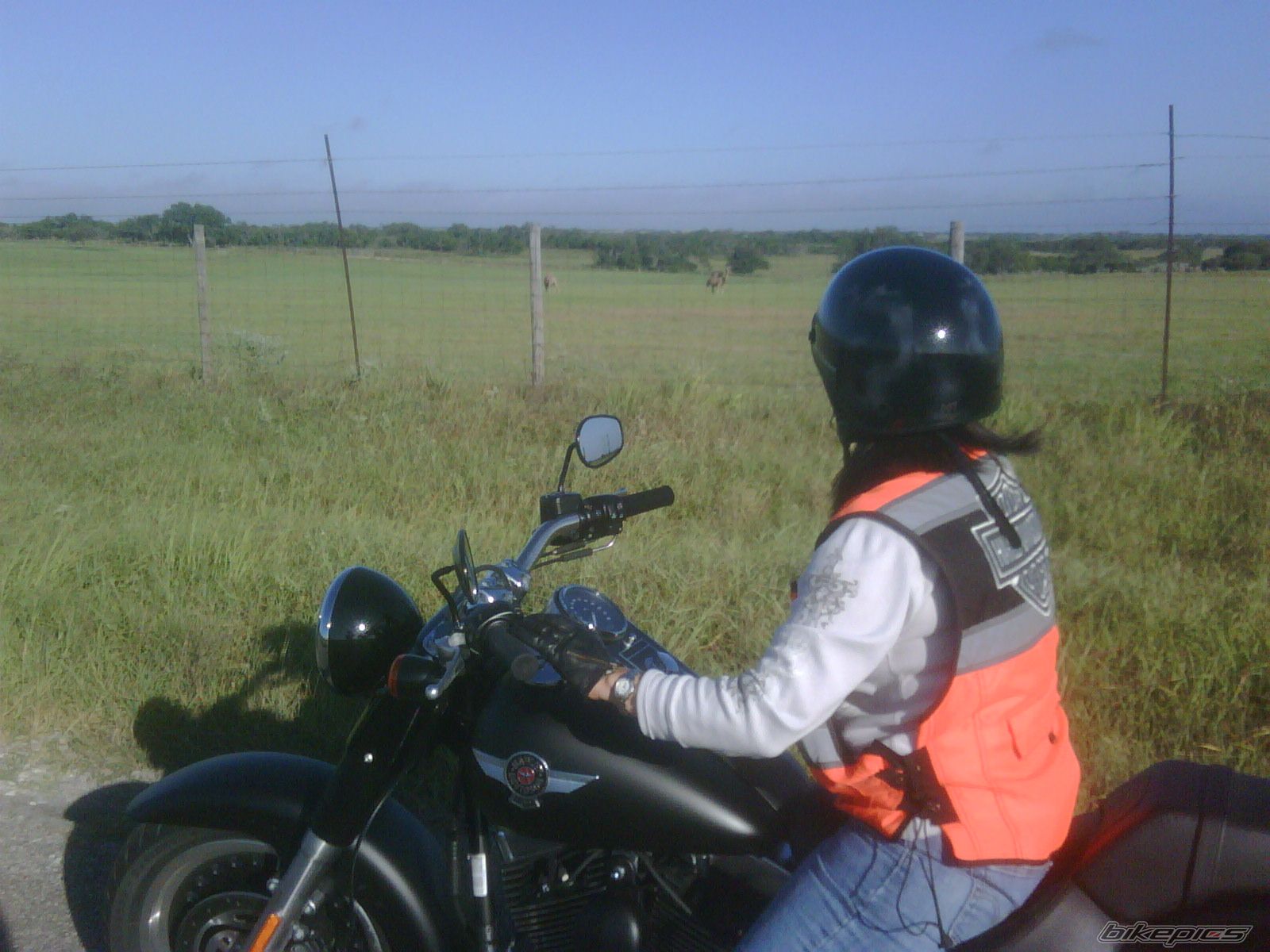 Photo 2046774
