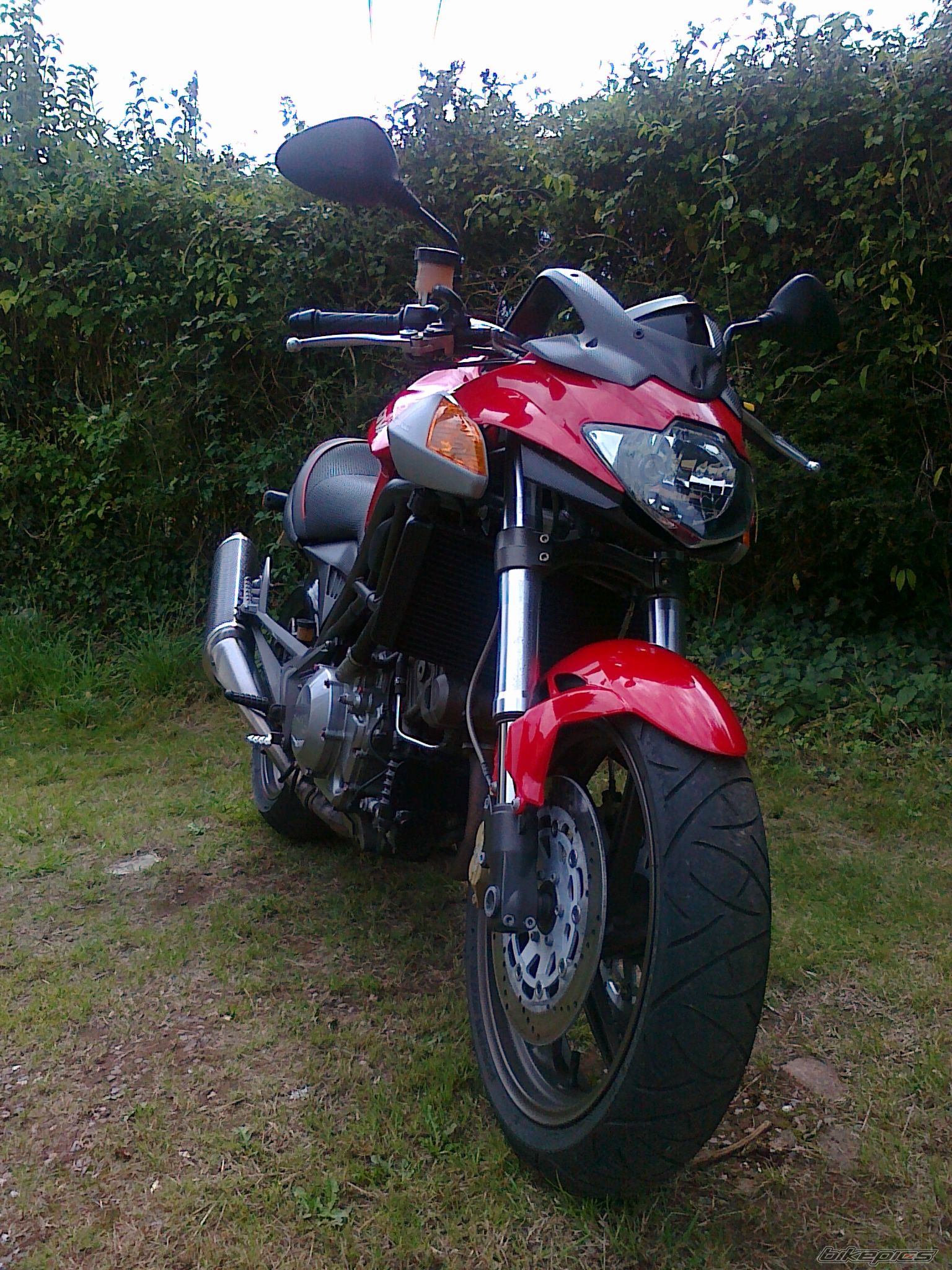 Photo 2046793