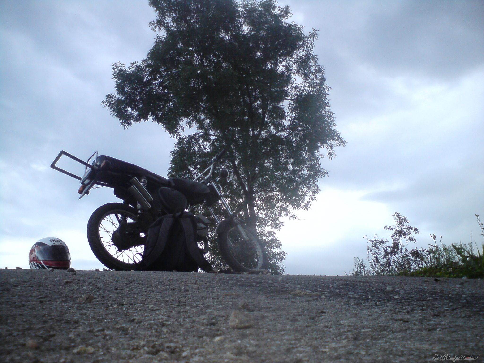 Photo 2046798