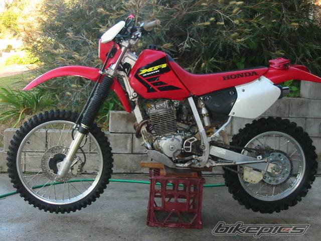 Photo 204681