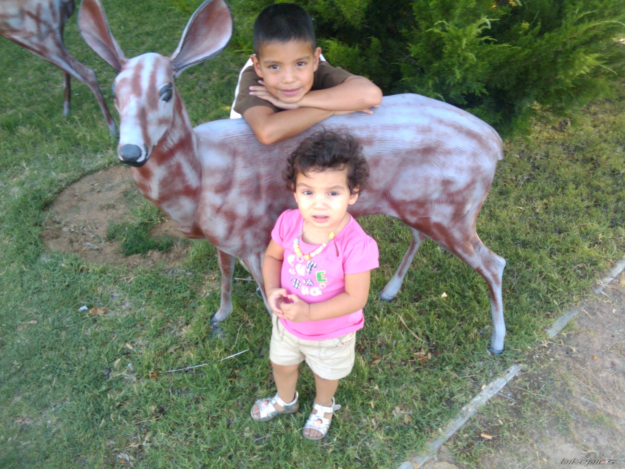 Photo 2046875