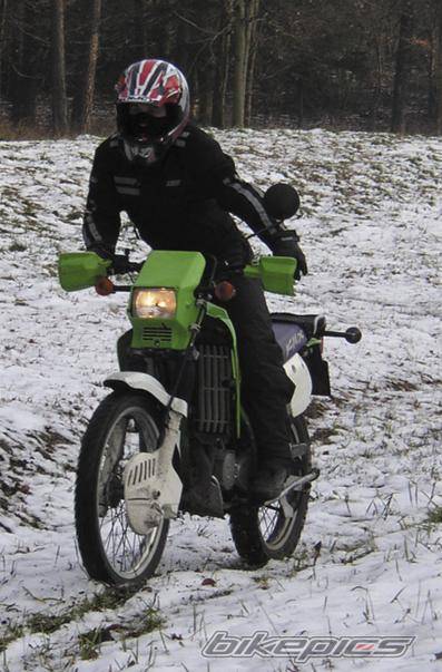 Photo 204689