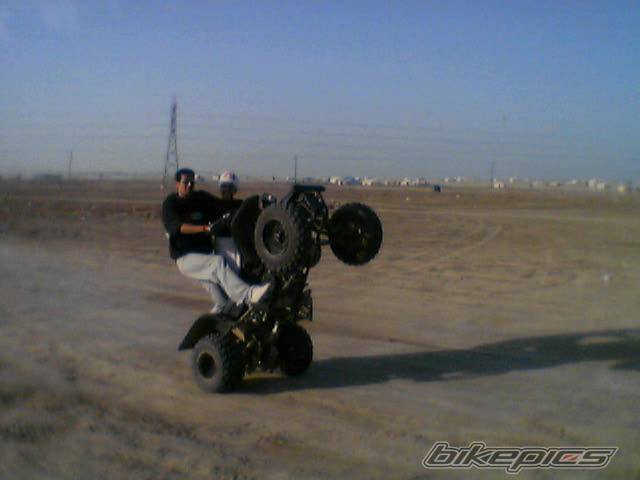 Photo 204690