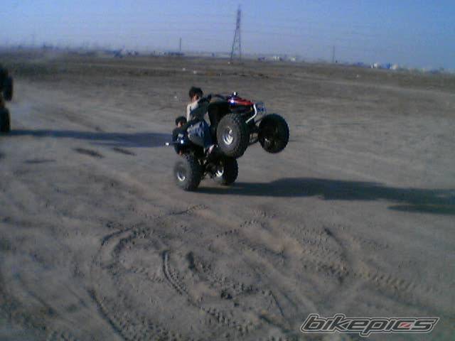 Photo 204692