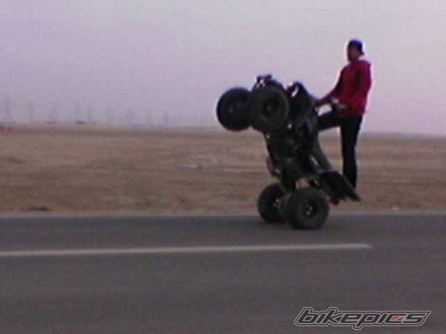 Photo 204695