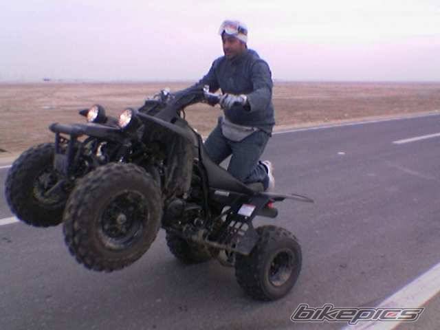 Photo 204697