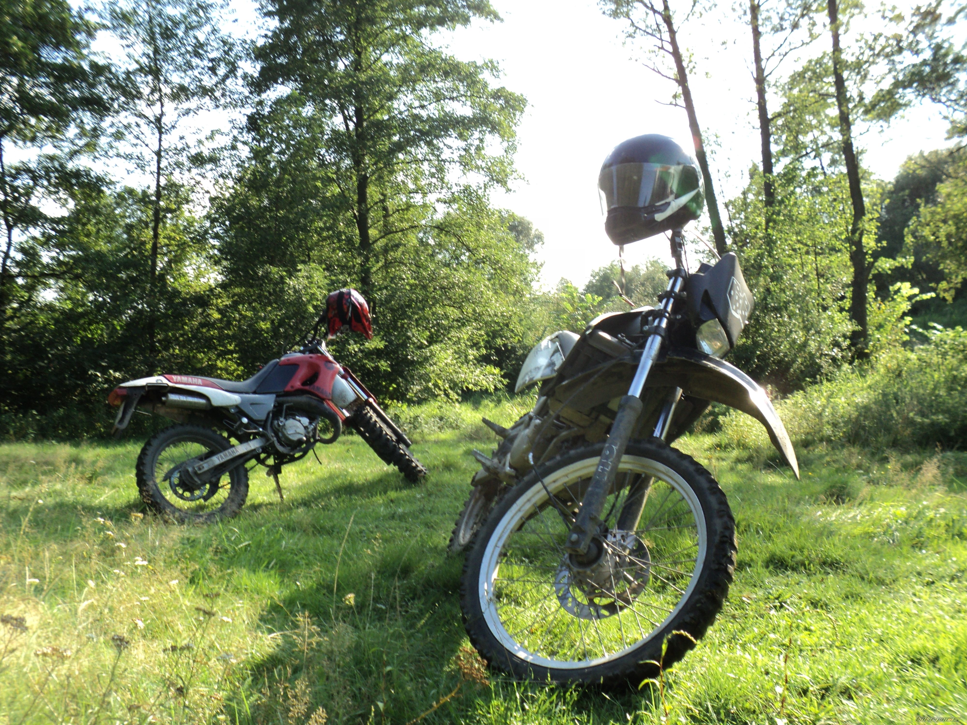 Photo 2047068