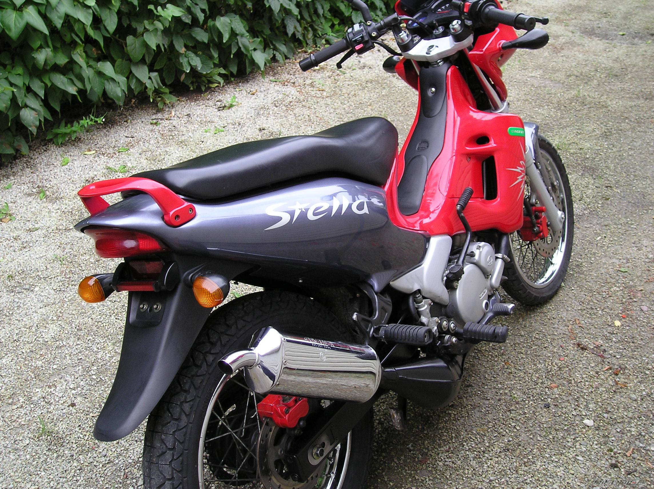 Photo 204723