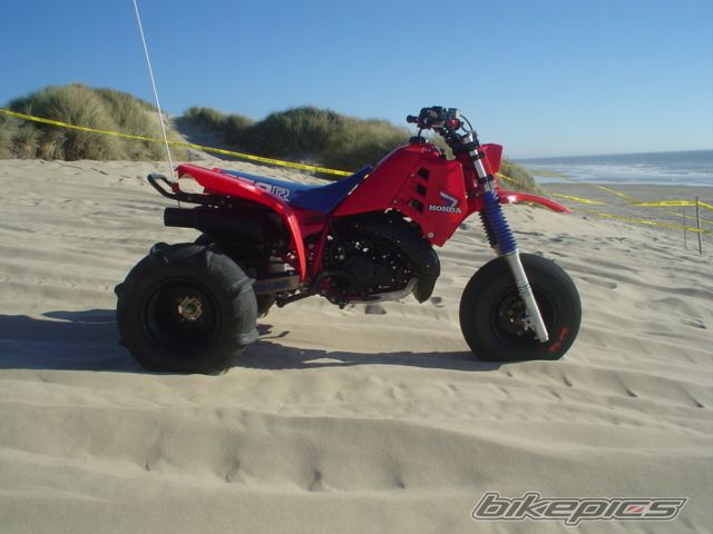 Photo 2047279