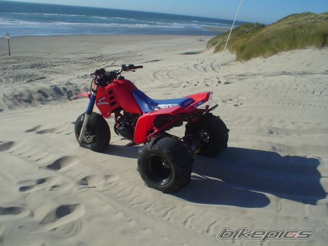 Photo 2047280