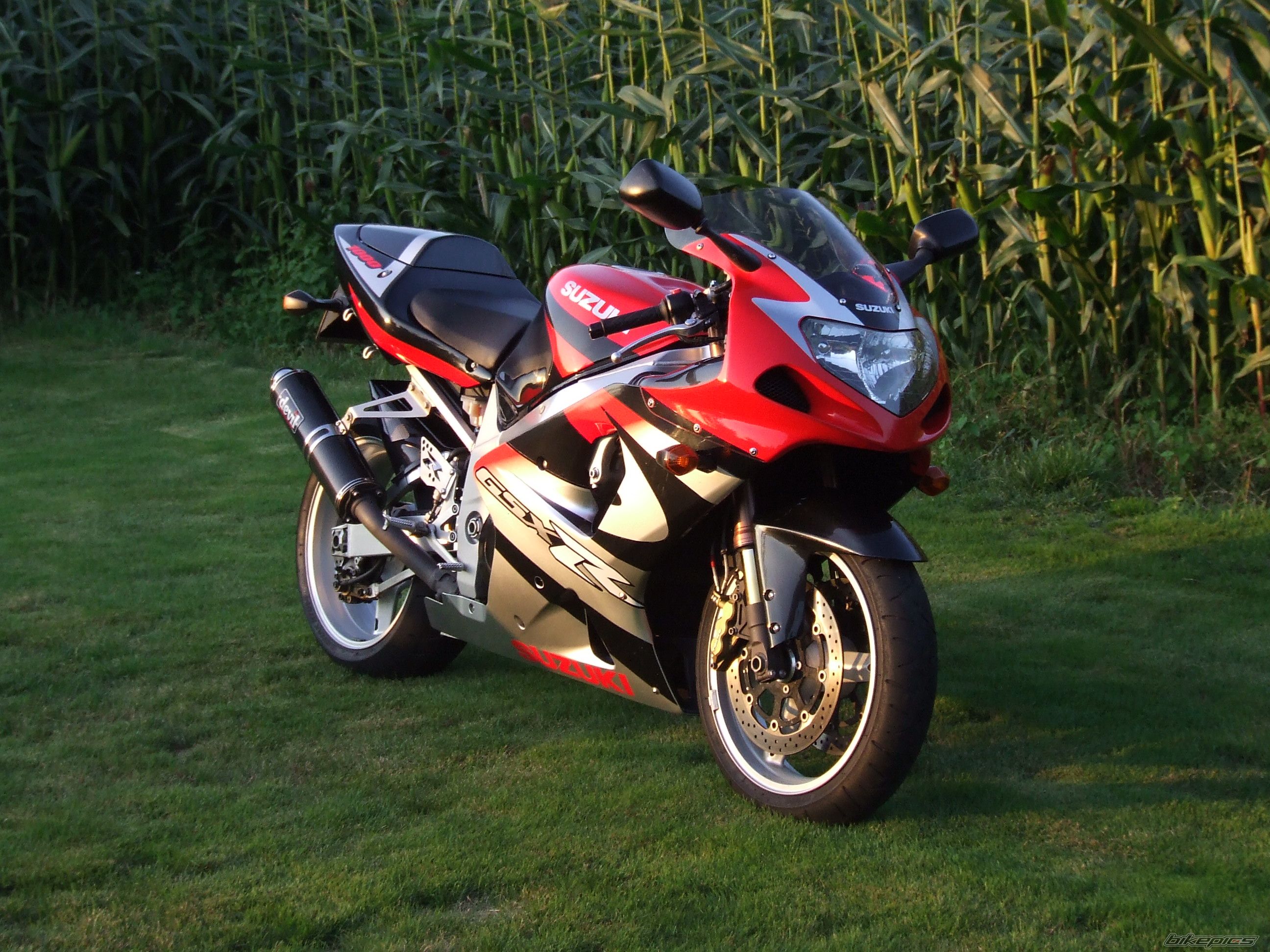 Photo 2047360