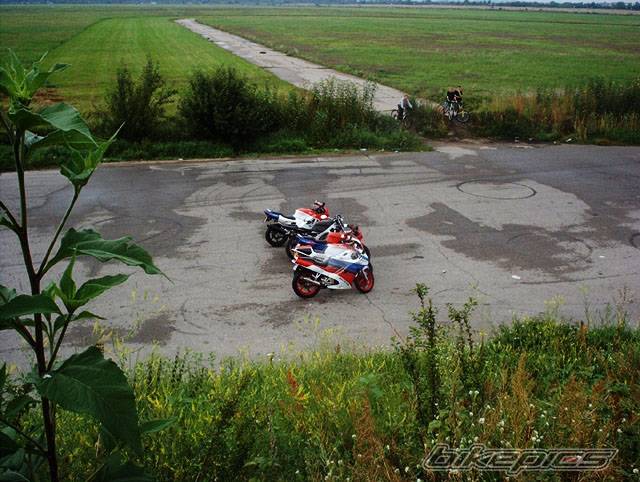 Photo 204745