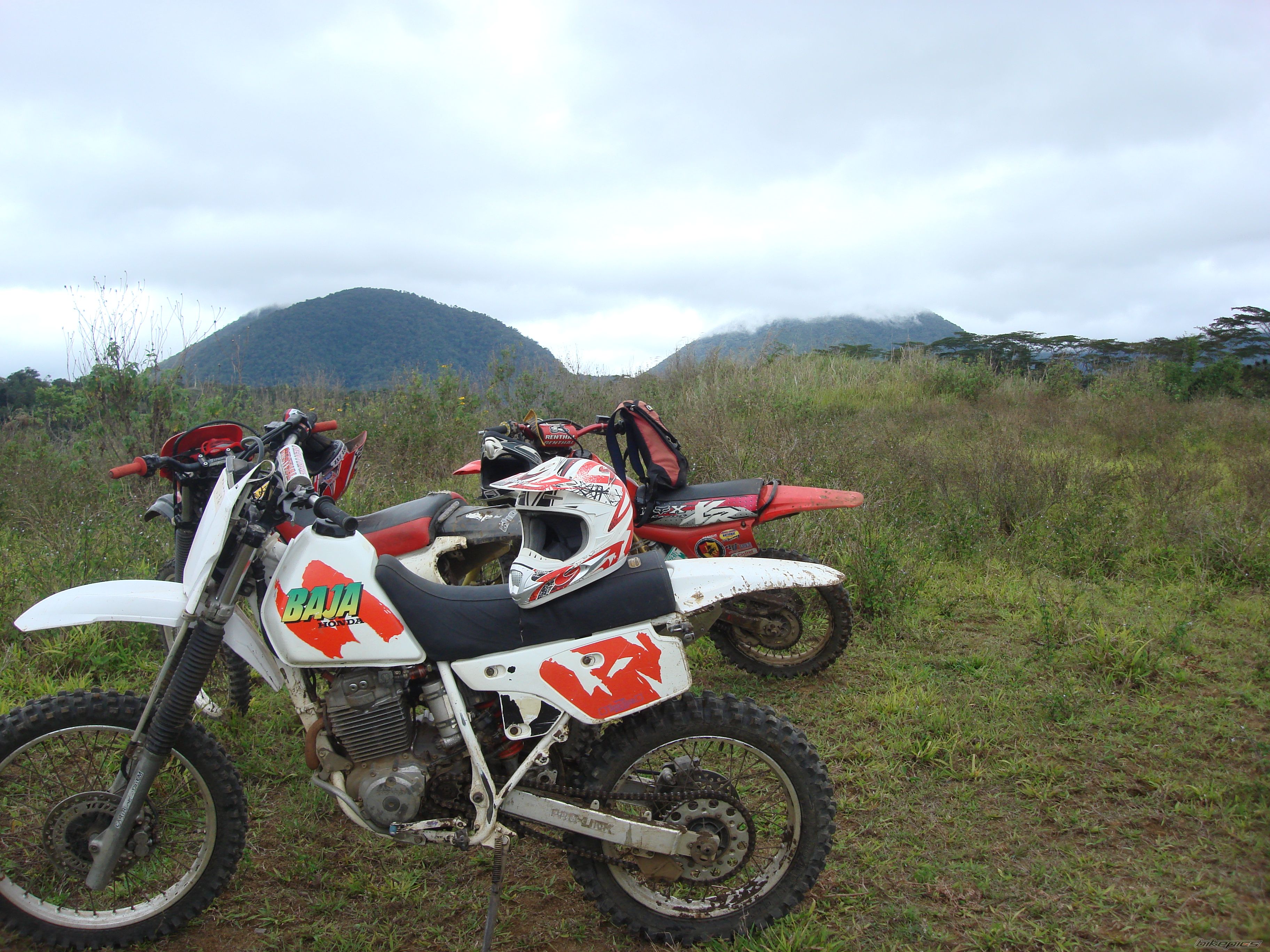 Photo 2047558