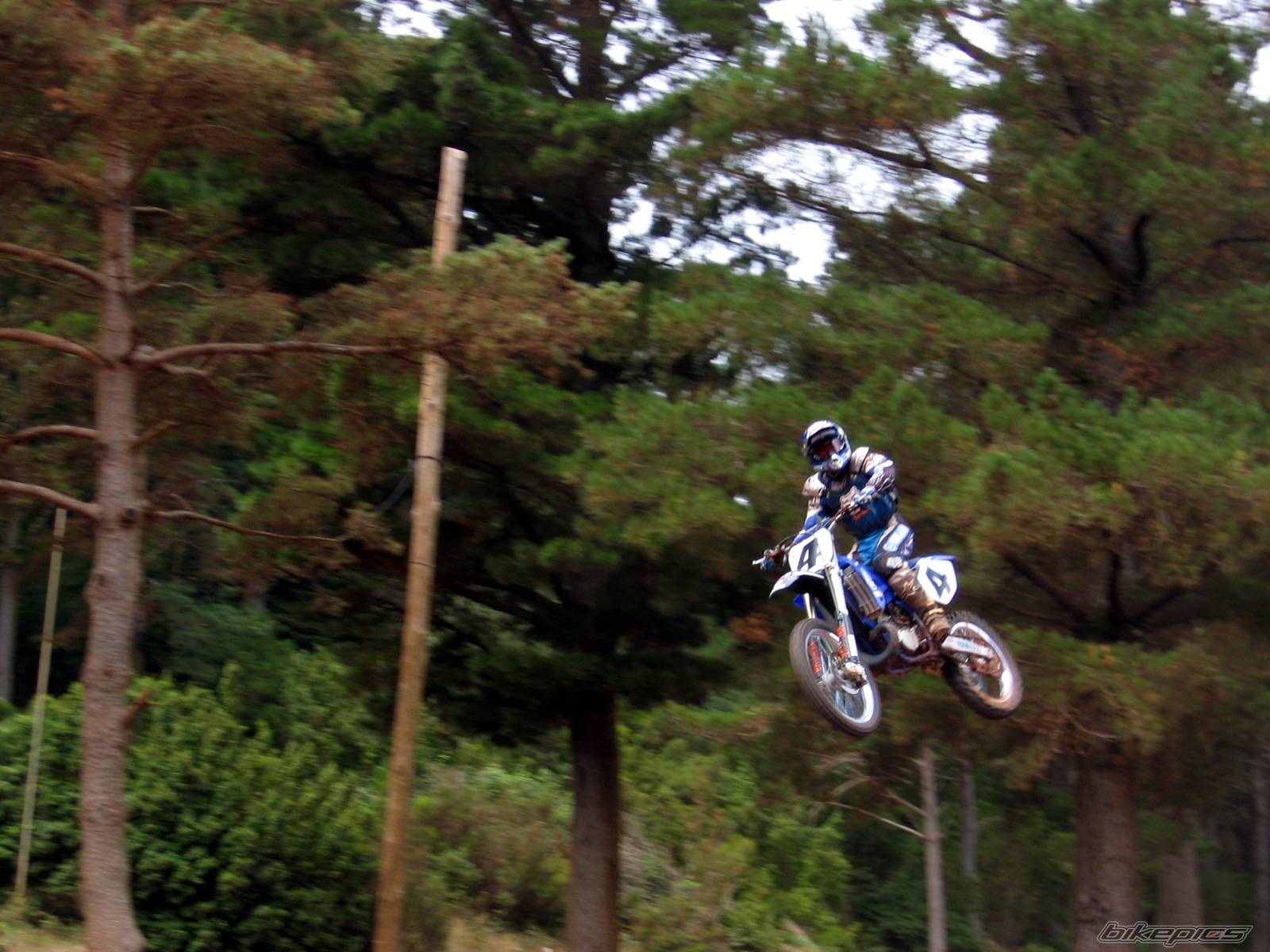 Bike Photo 204770
