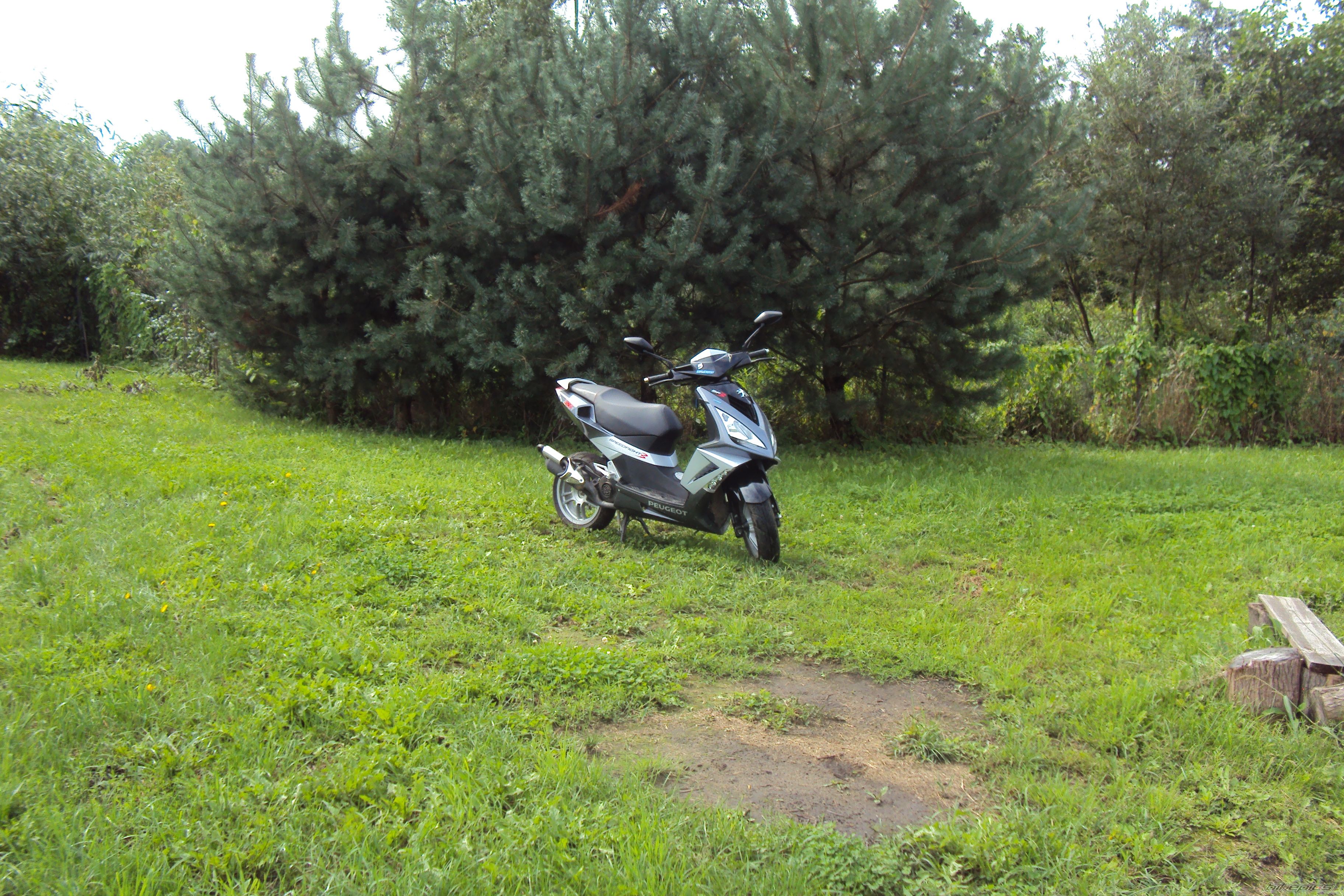 Photo 2047757