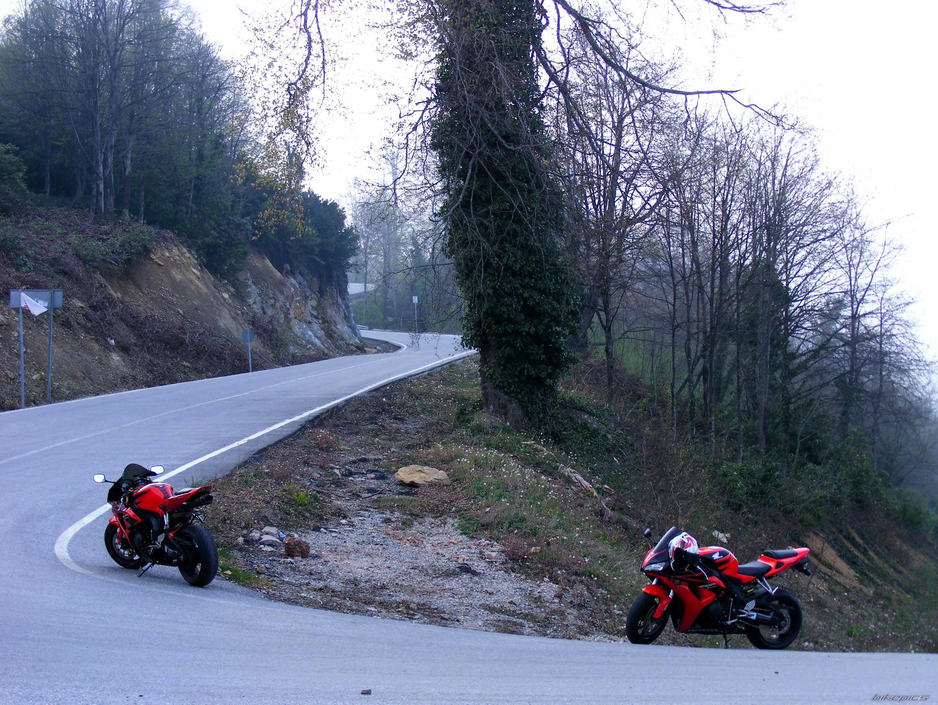 Photo 2047793
