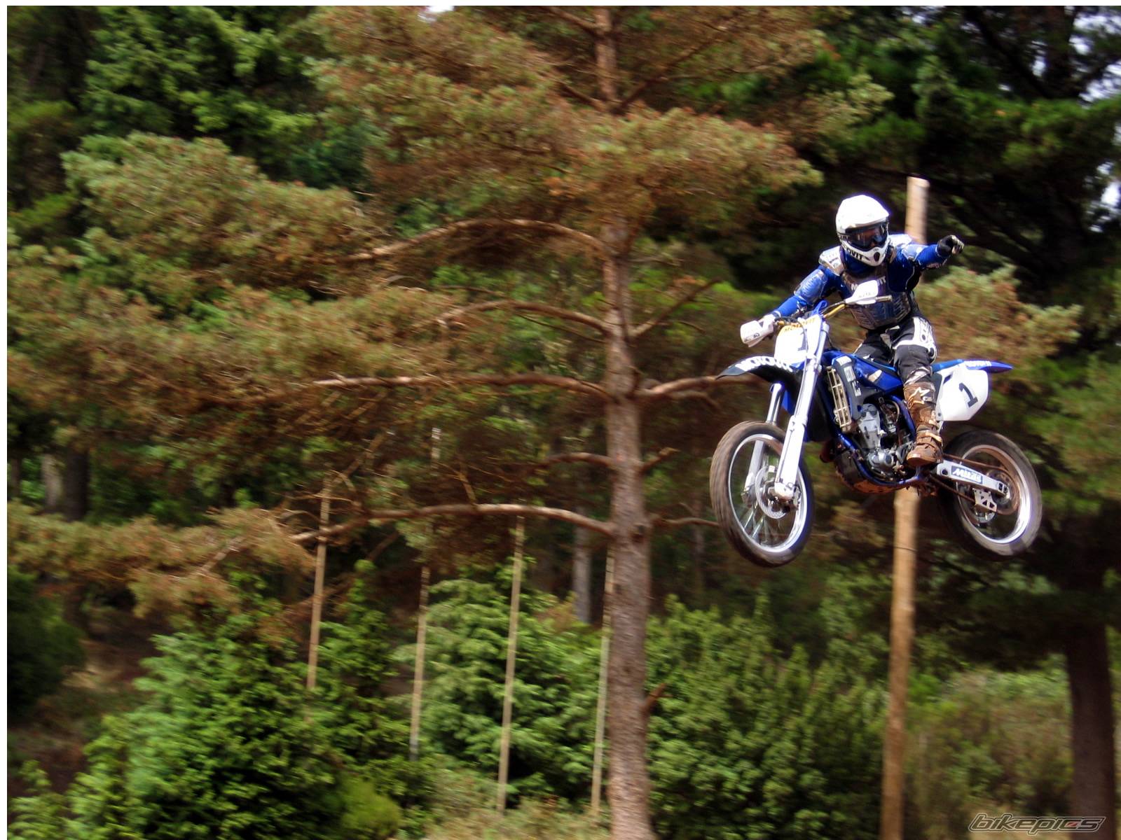 Bike Photo 204803