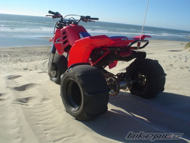 Photo 2048213