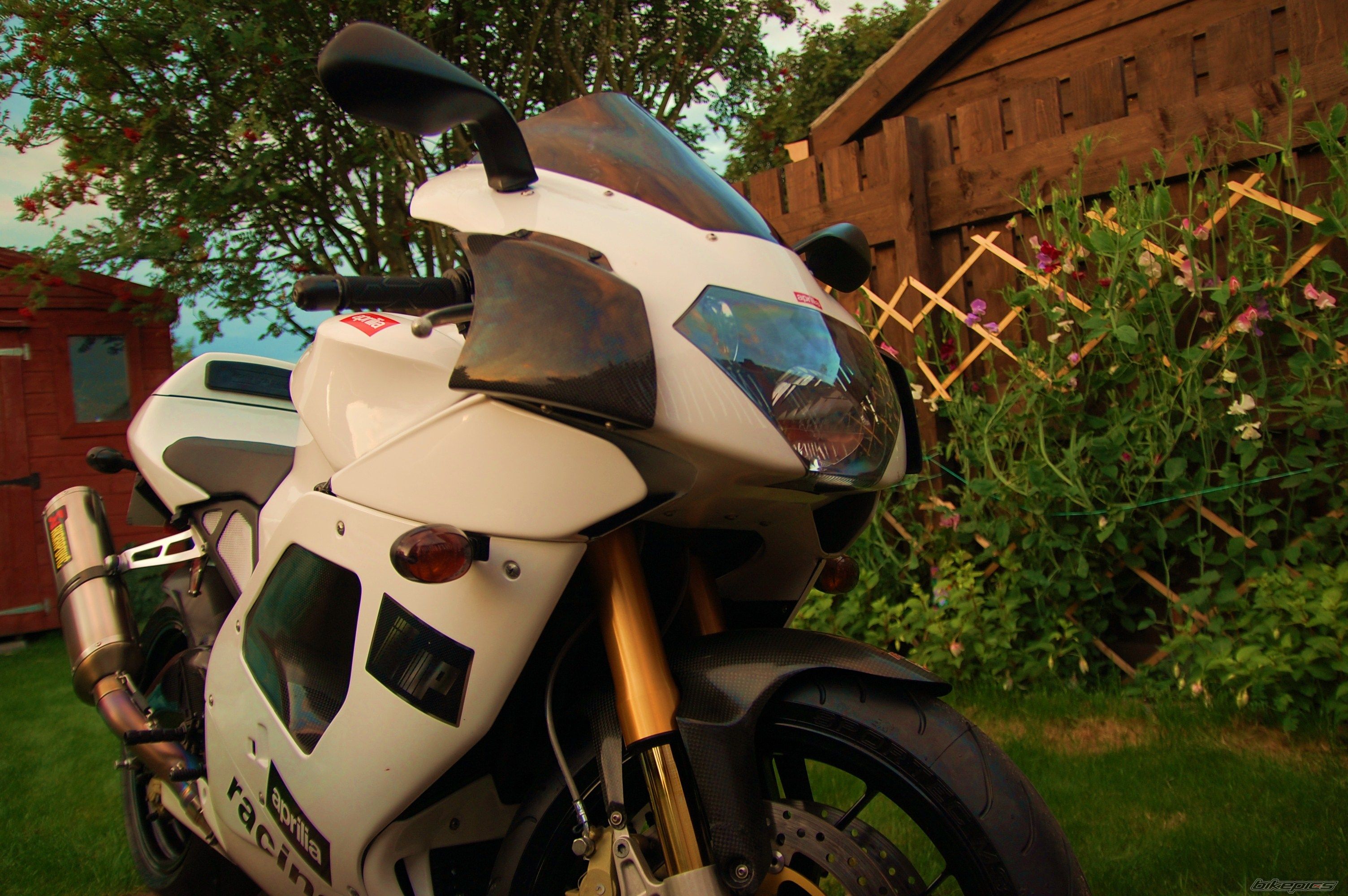 Photo 2048602