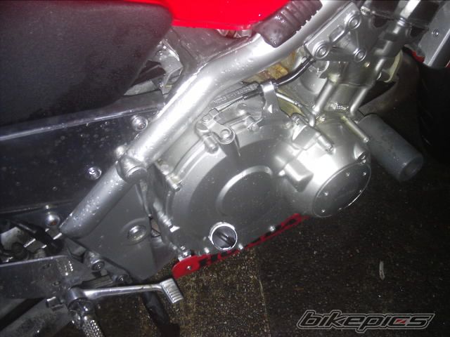 Photo 2048761