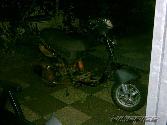 Photo 204889