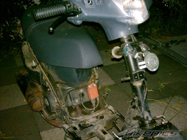 Photo 204892