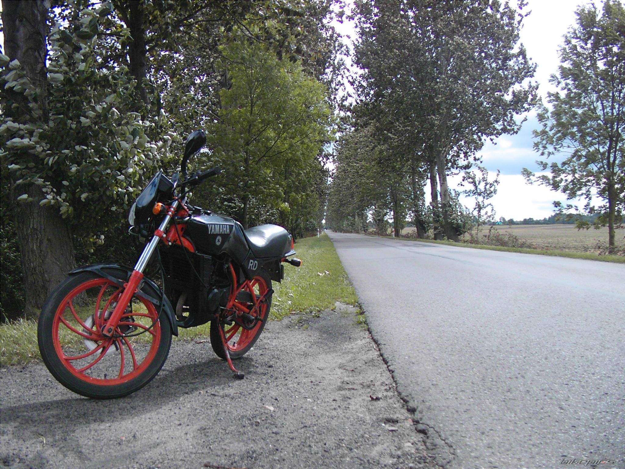 Photo 2049061