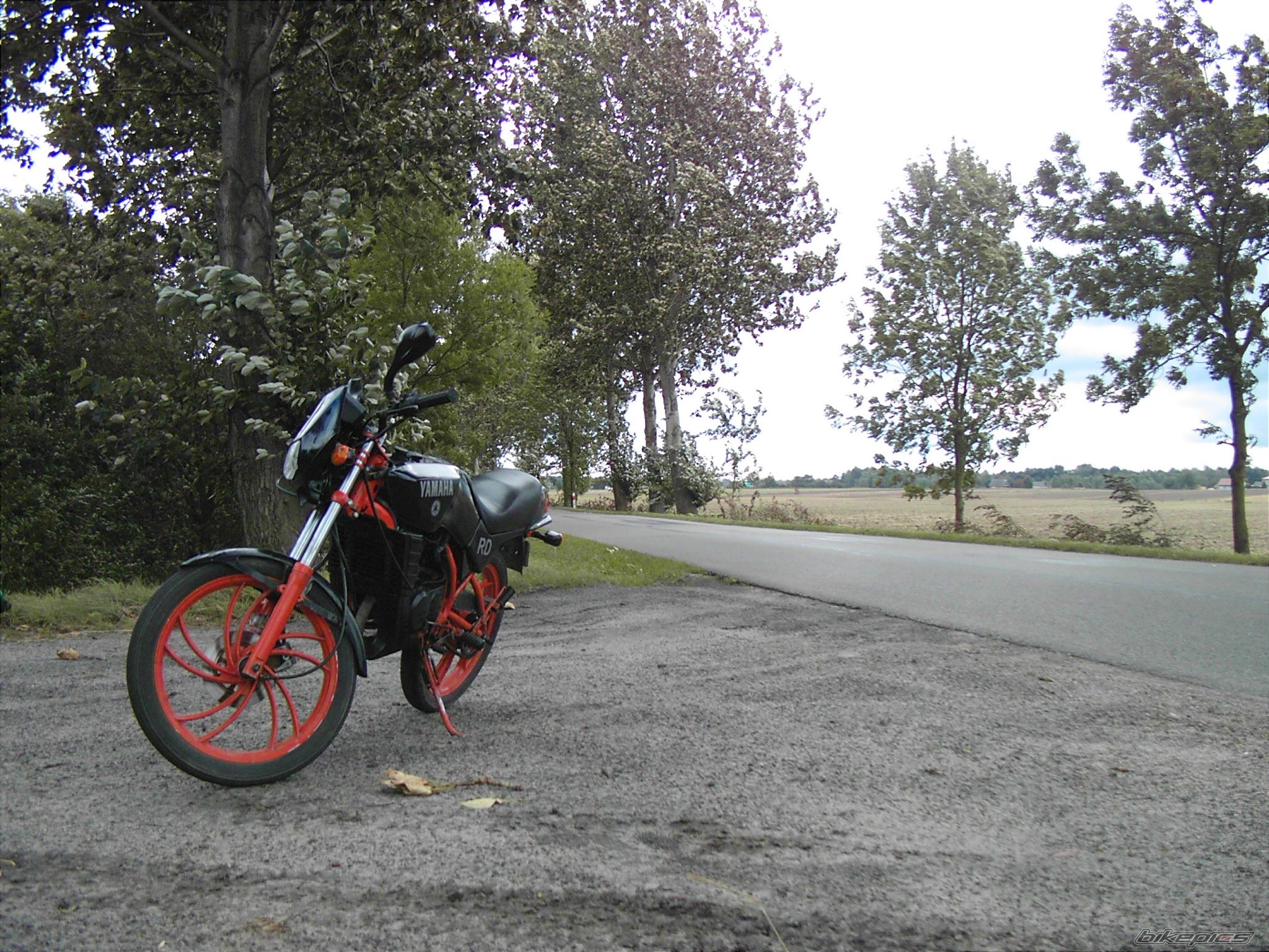 Photo 2049067