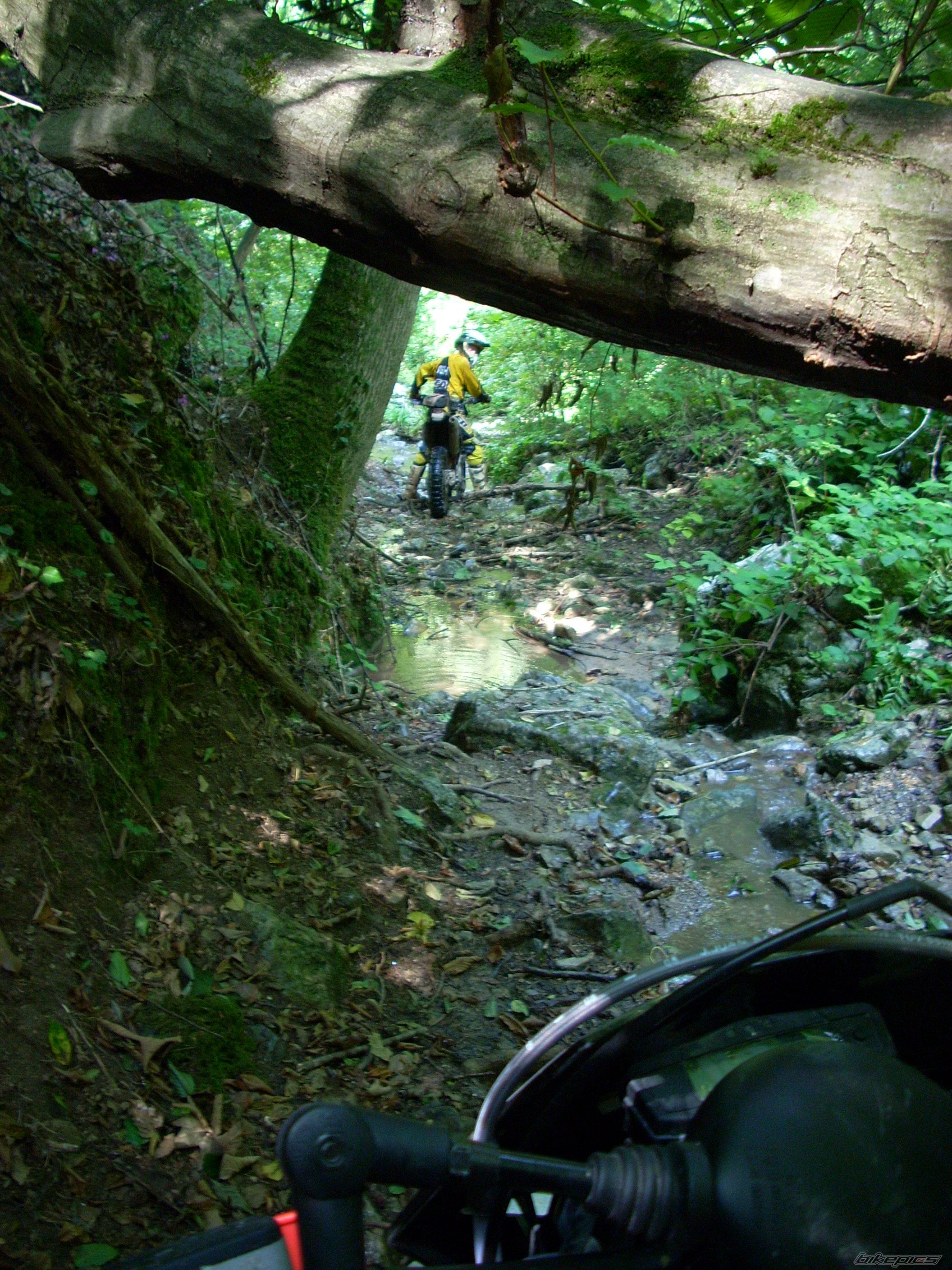 Bike Photo 2049431