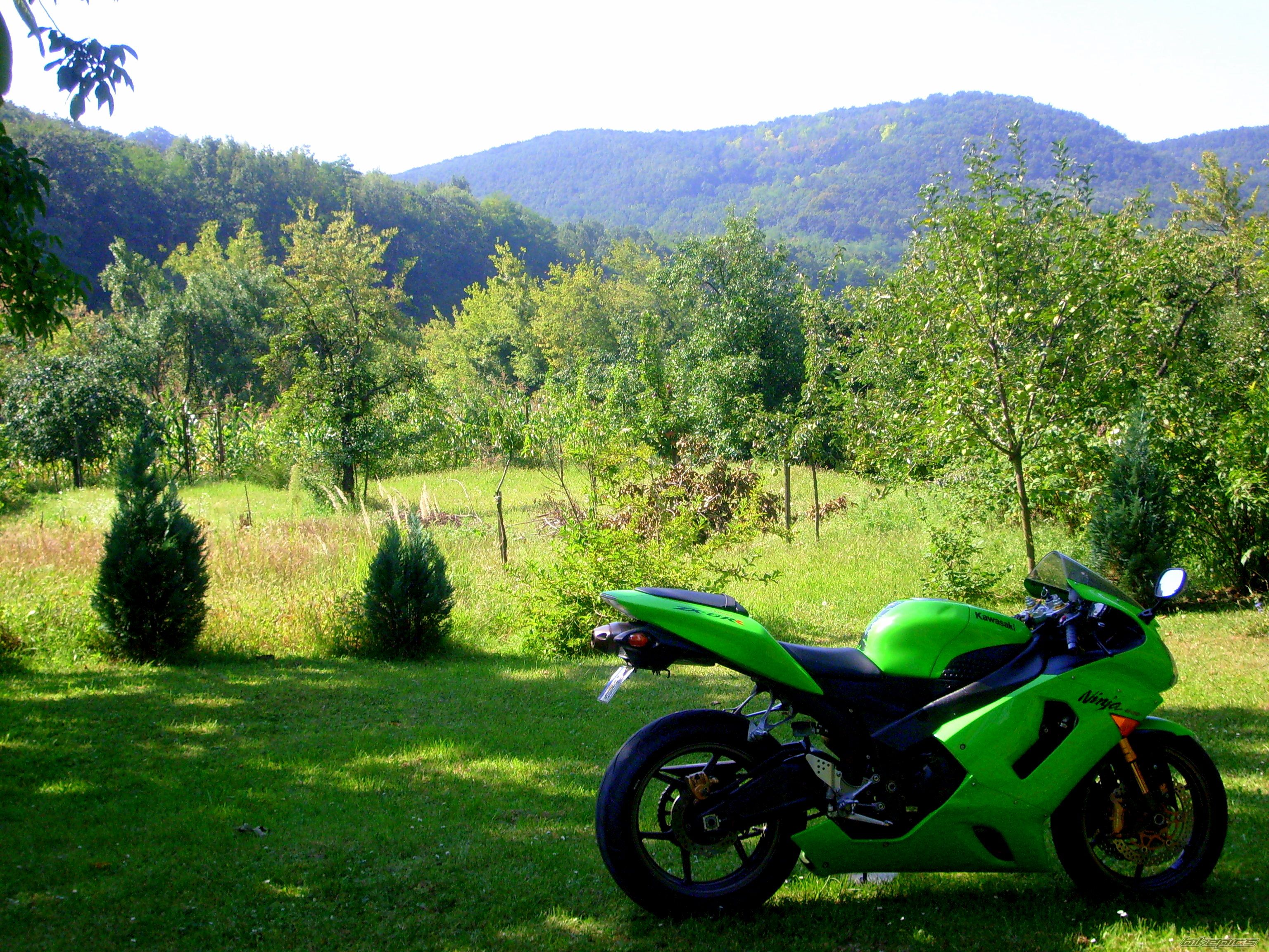 Photo 2049587