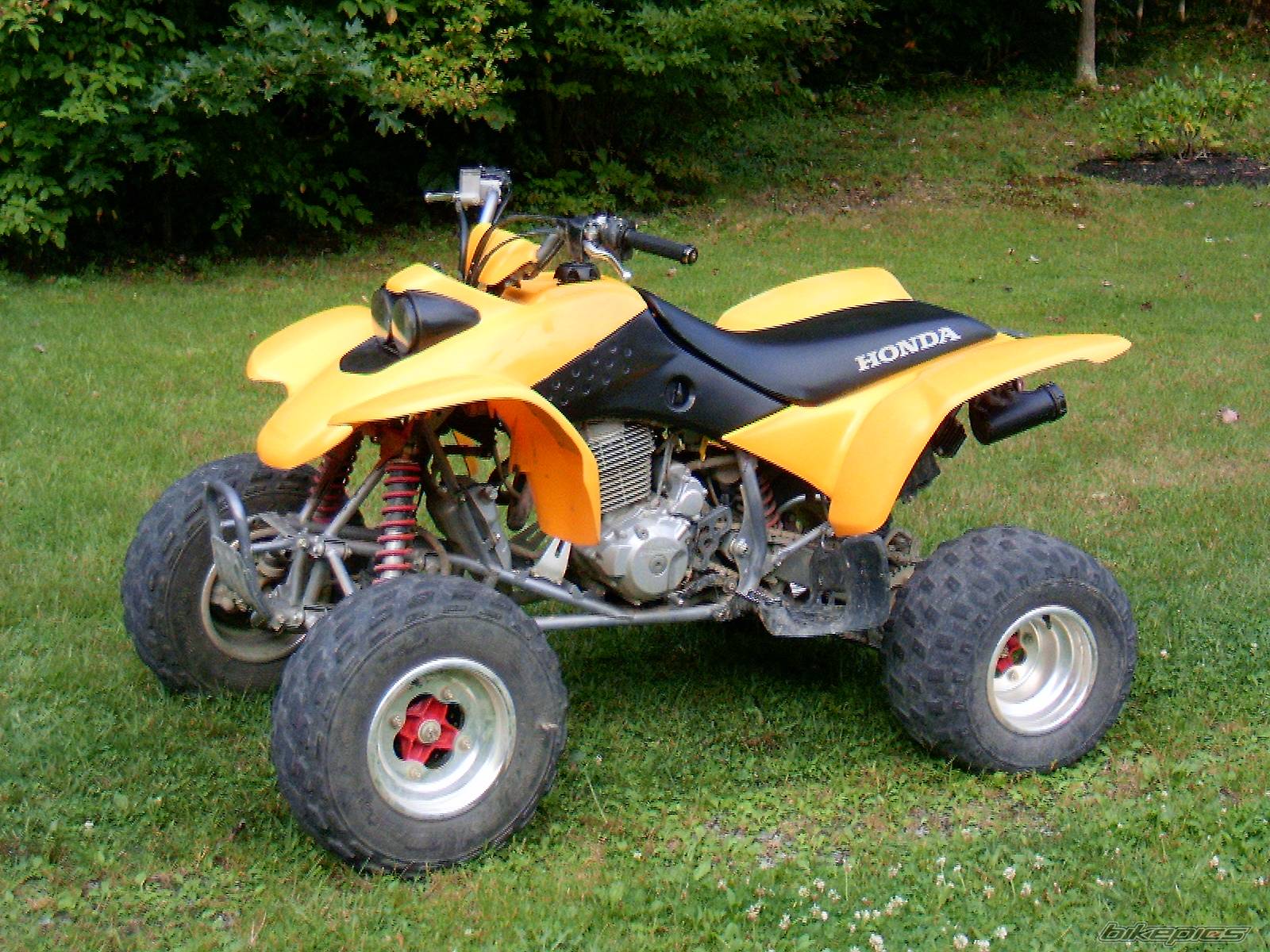 Photo 204962