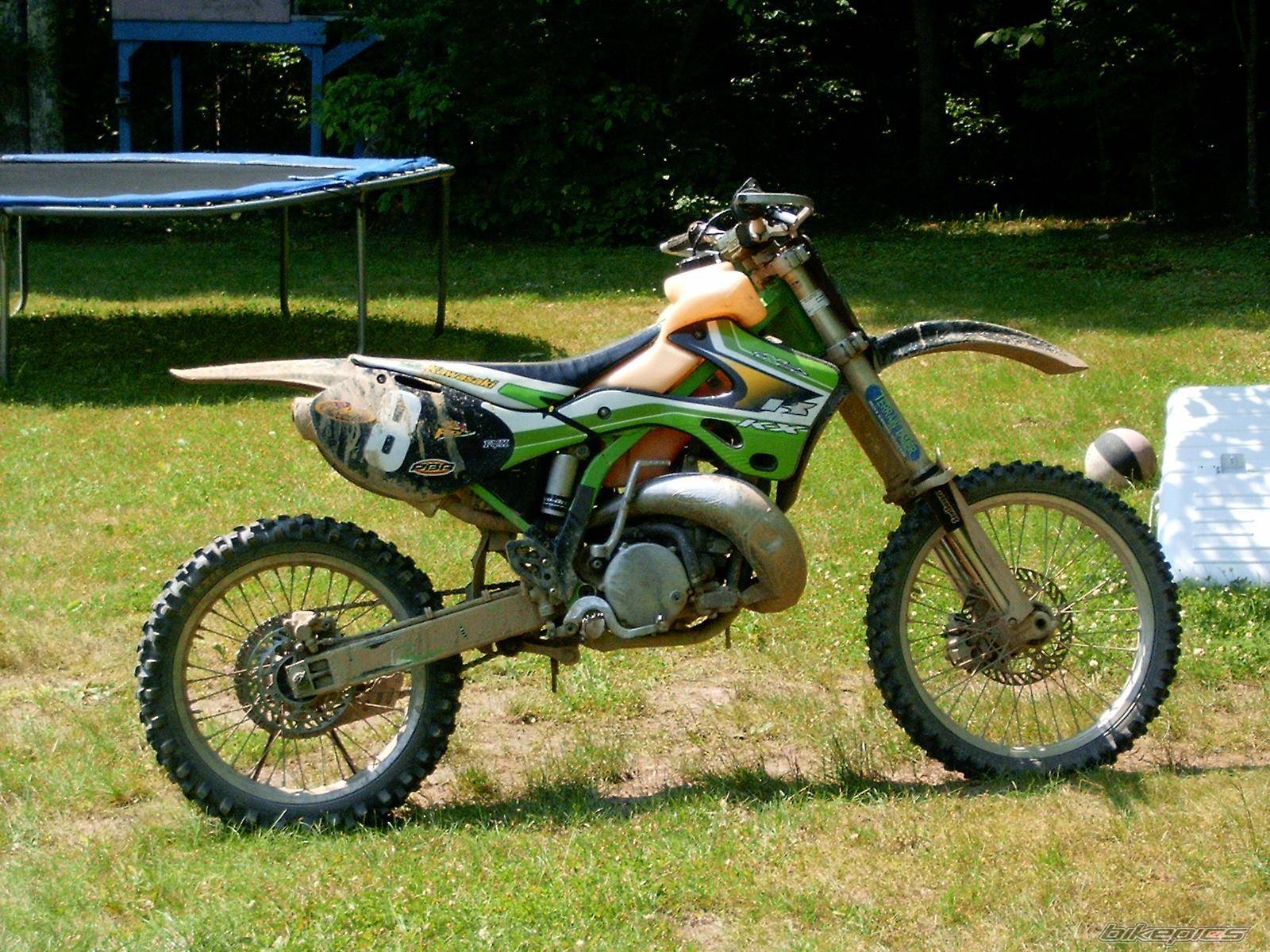Photo 204965