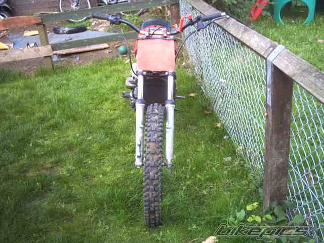 Photo 204981