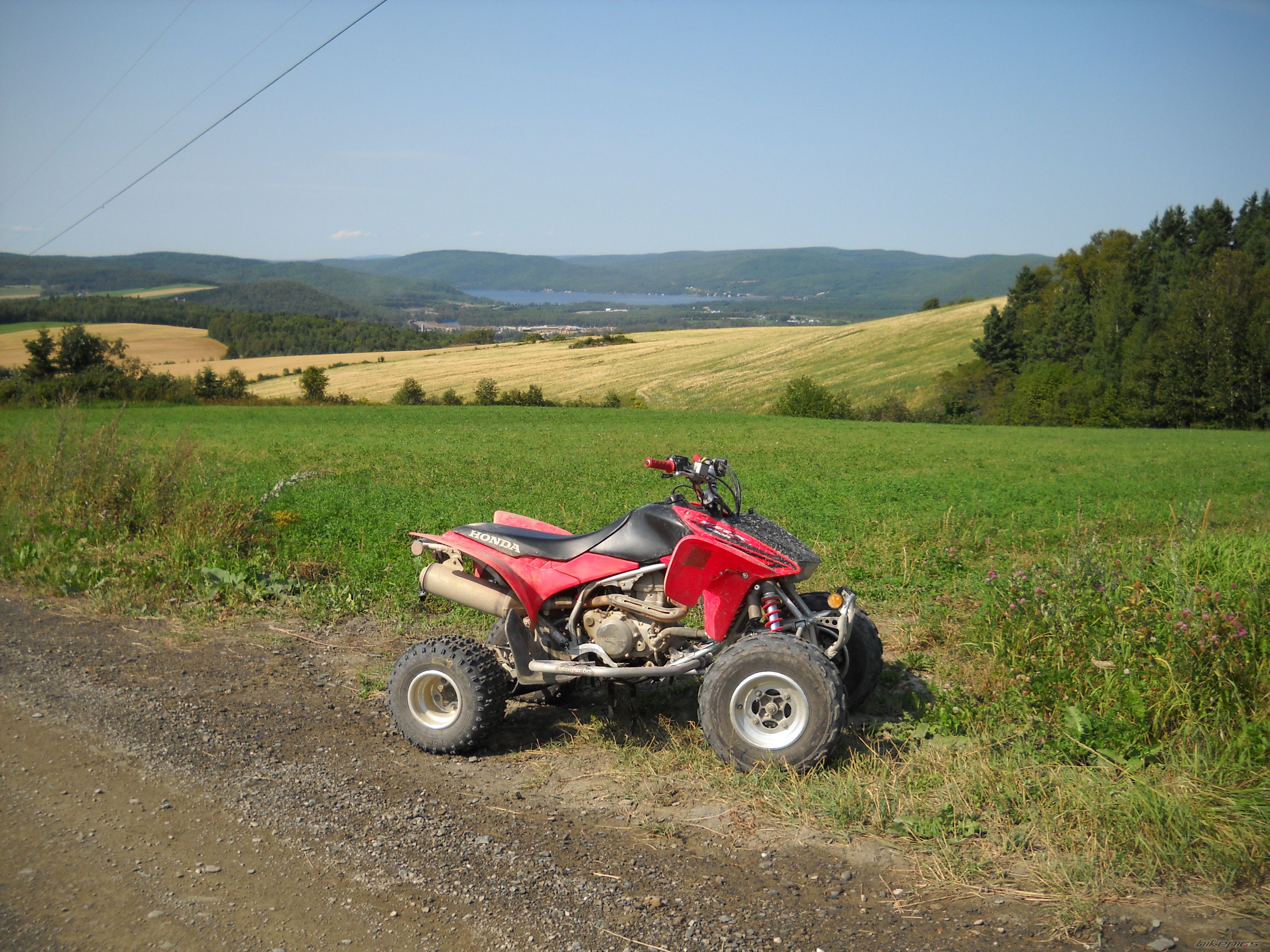 Photo 2049905