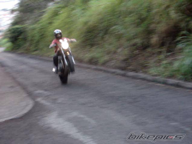 Photo 205014