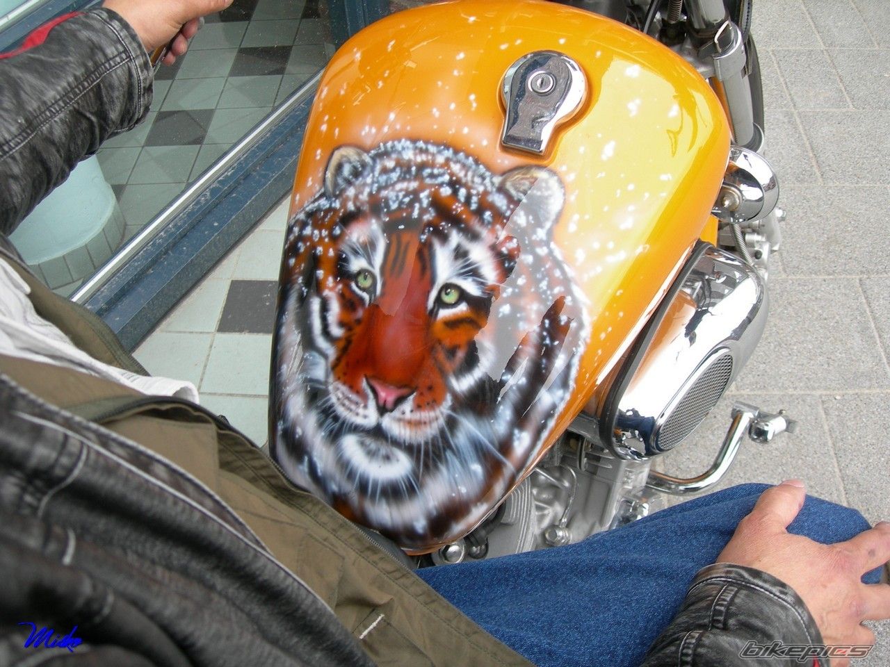 Bike Photo 2050209