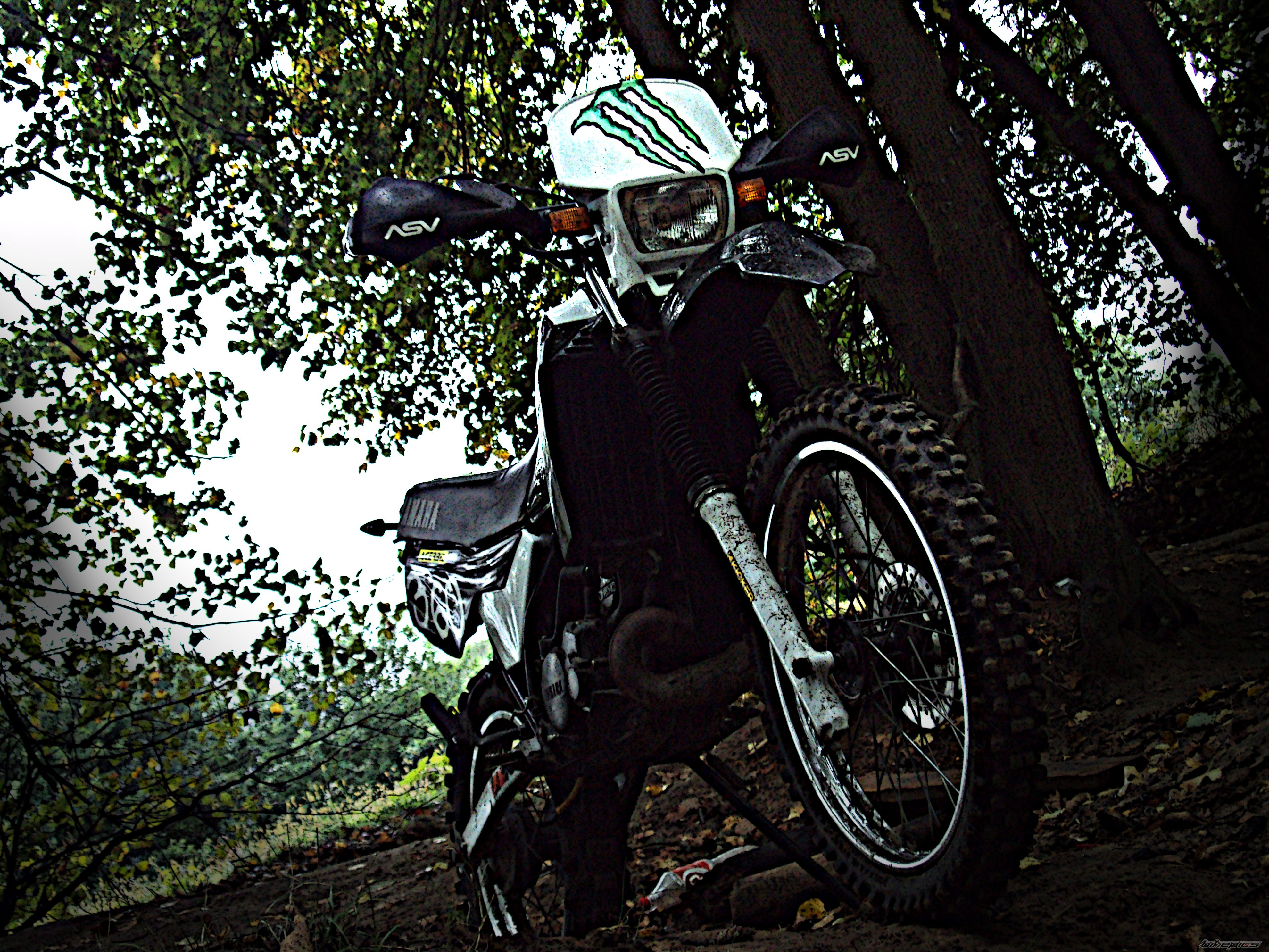 Photo 2050281