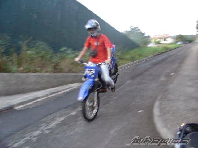 Photo 205029