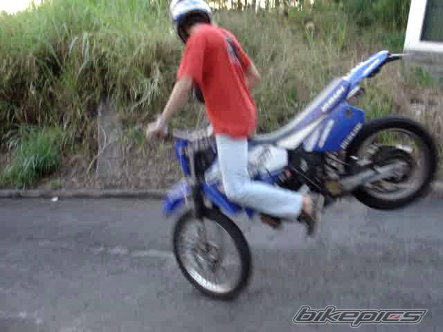 Photo 205030
