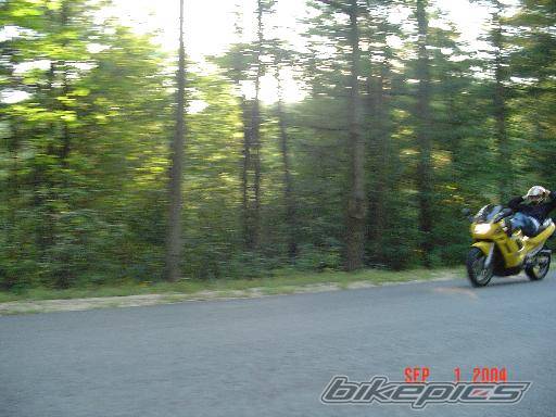 Photo 205041