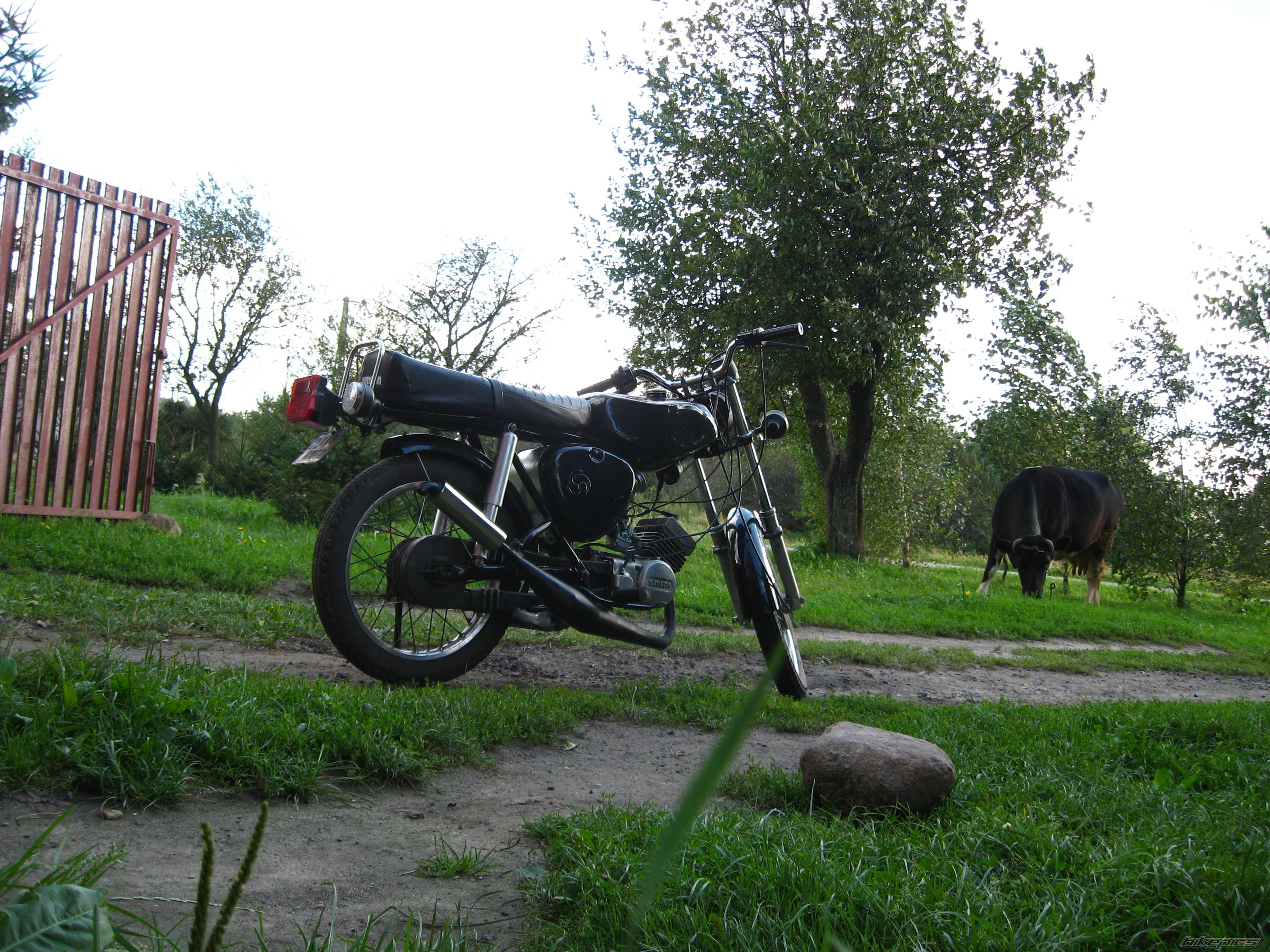 Photo 2050586