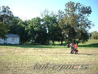 Photo 205059