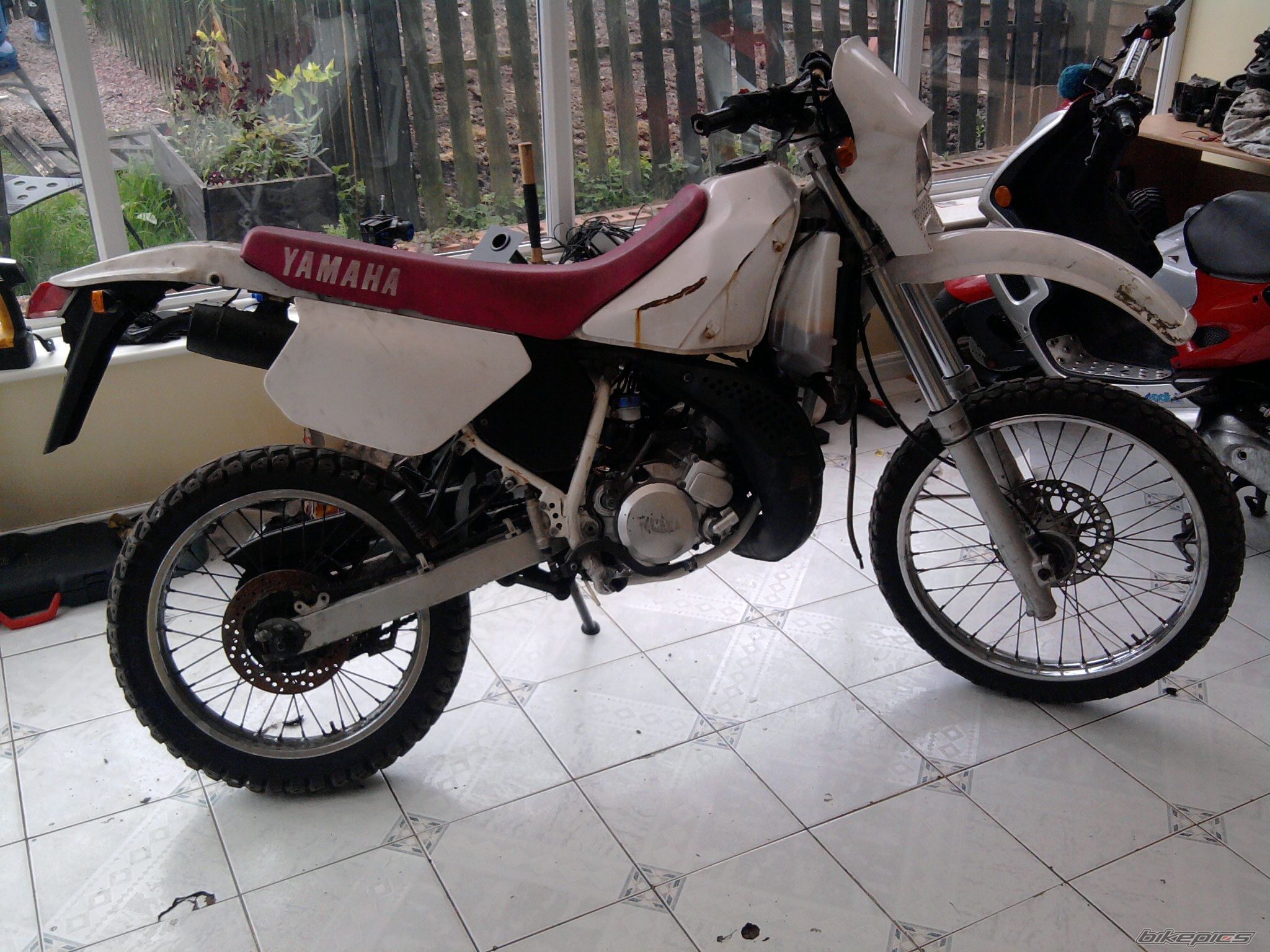 Photo 2051032