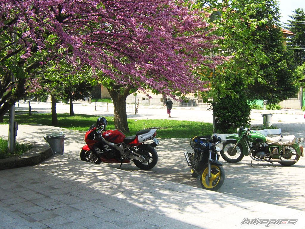 Bike Photo 2051060