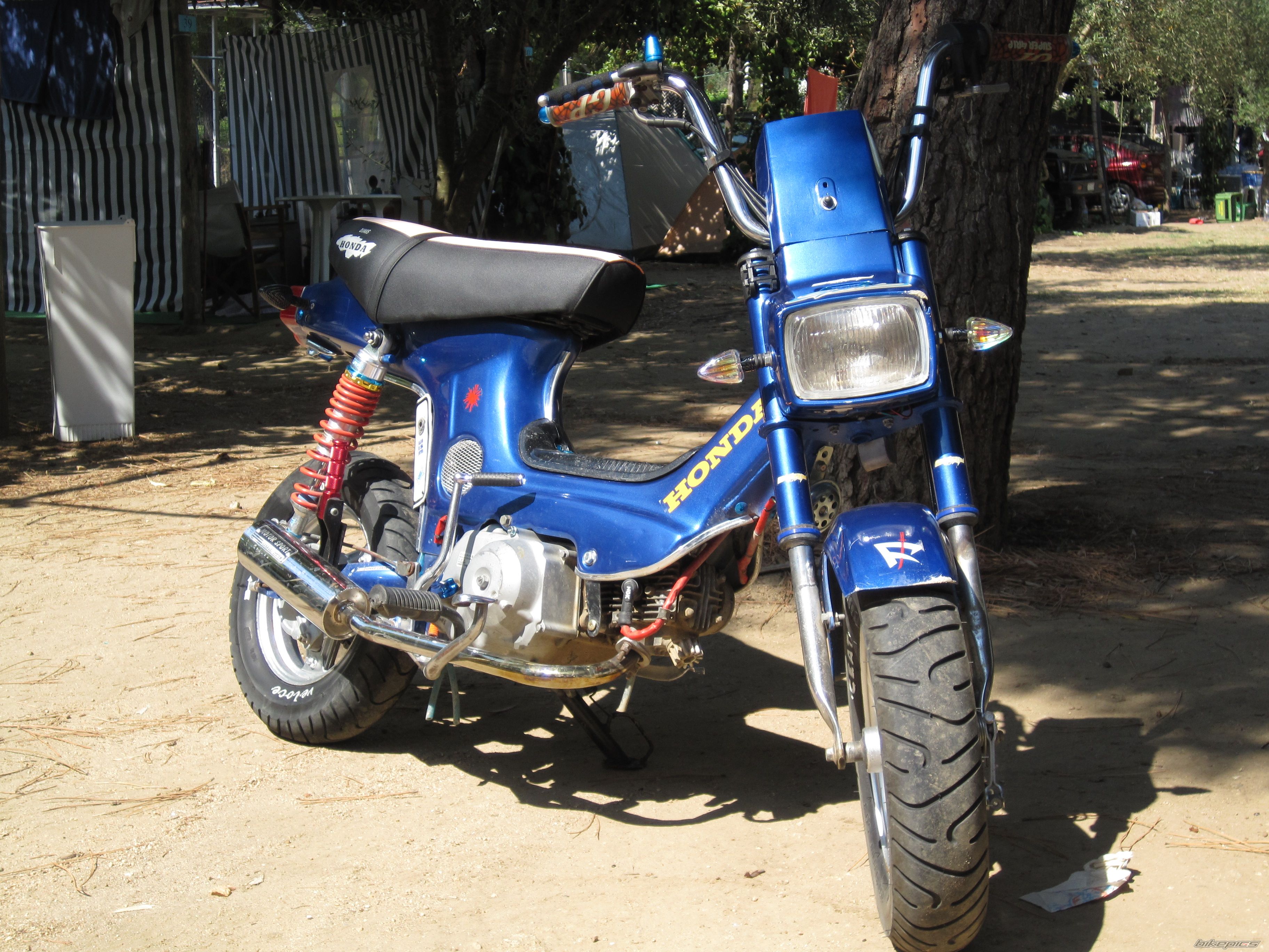 Photo 2051263