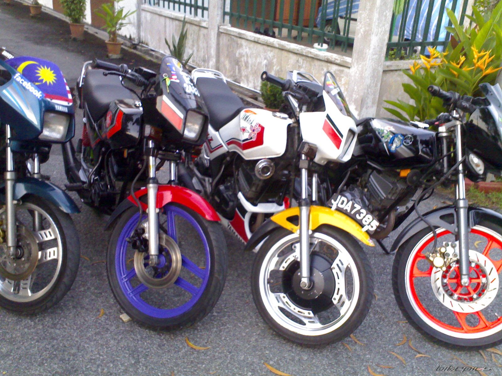 Photo 2051272