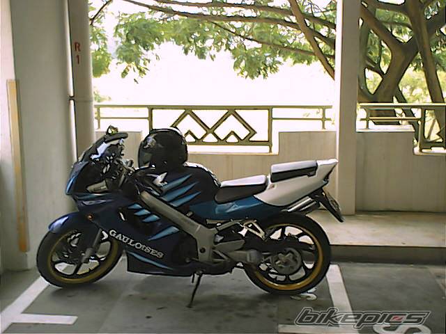 Photo 205131